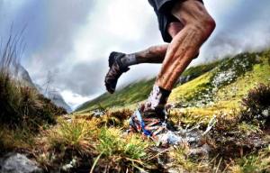 10428654_659106920862575_5091163134149296378_n